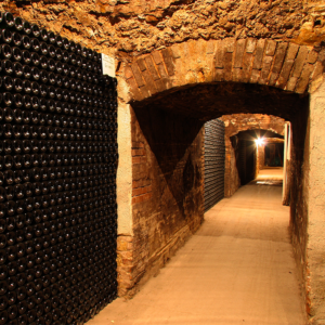 Champagne-Charles-Ellner-caves