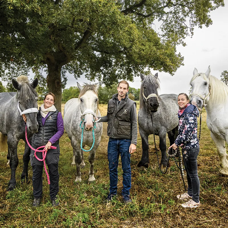 Champagne-De-Sousa-famille-chevaux