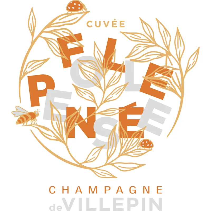 Champagne-De-Villepin-folle-pensee