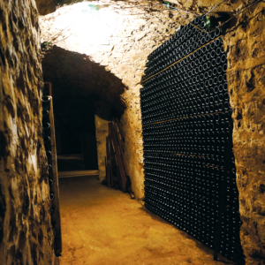 Champagne-Guy-Larmandier-Caves