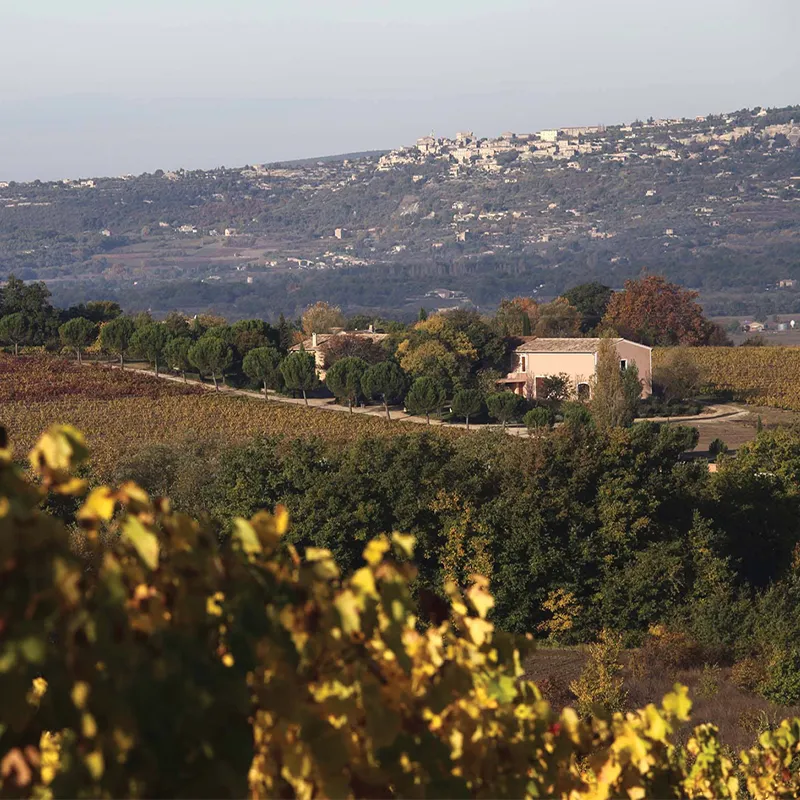 domaine-Tara ventoux