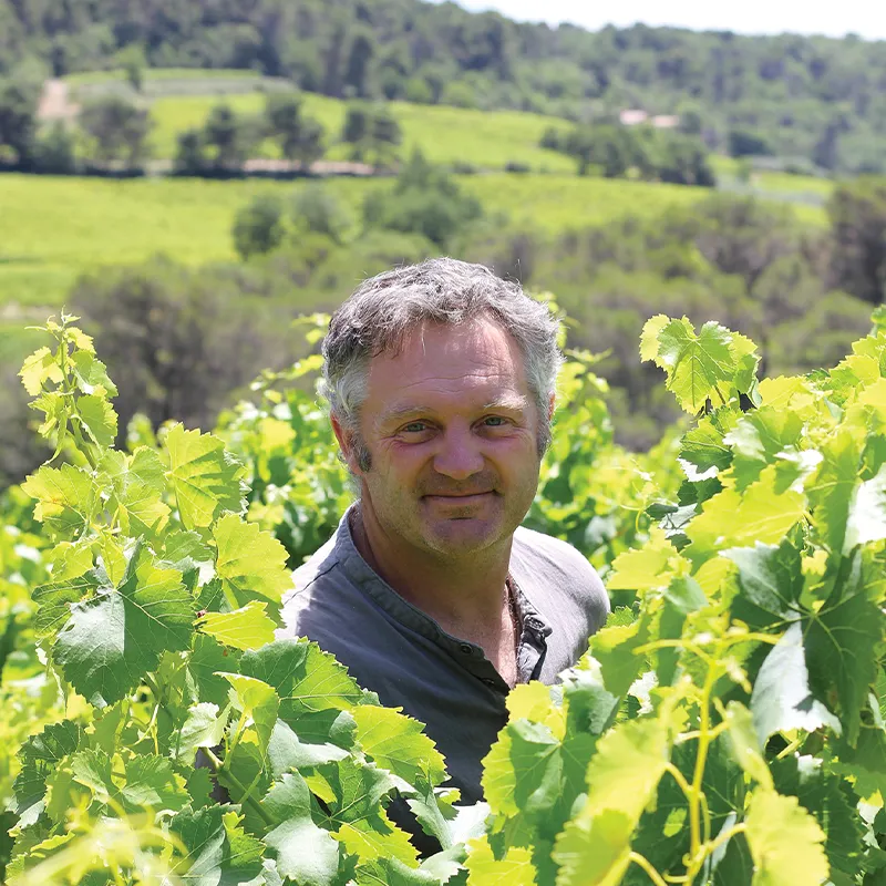 domaine-laurent-bellion-vignes