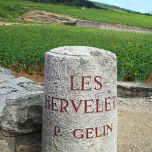 Domaine-Pierre-Gelin-vignes