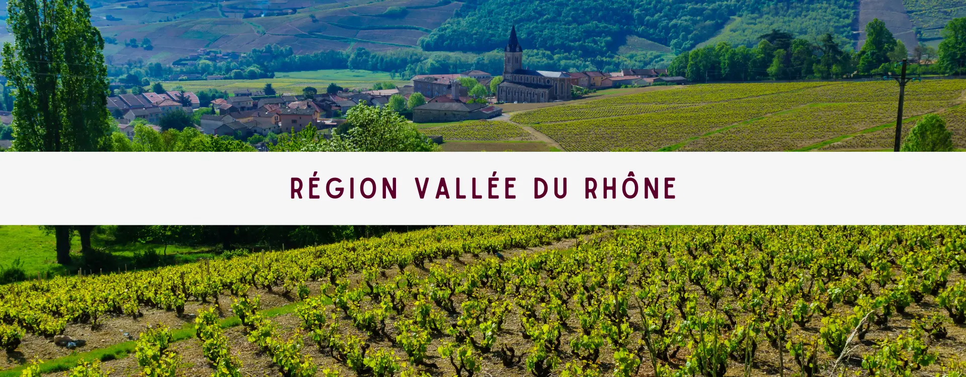 You are currently viewing Région Vallée du Rhône 