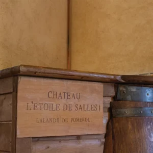 Chateau-l-etoile-de-salles-estampe