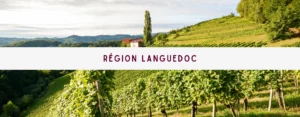 Lire la suite à propos de l’article Région Languedoc