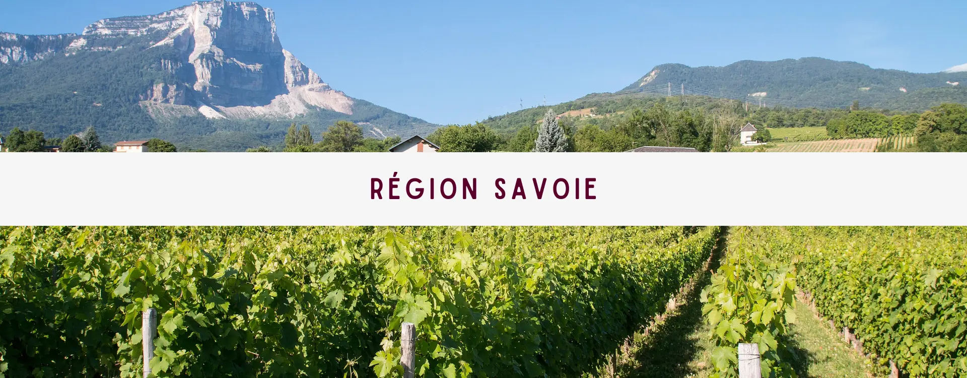 You are currently viewing La Région Savoie