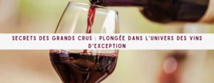 Lire la suite à propos de l’article Secrets des Grands Crus : Plongée dans l’Univers des Vins d’Exception