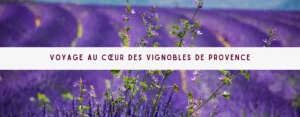 Lire la suite à propos de l’article Voyage au Cœur des Vignobles de Provence