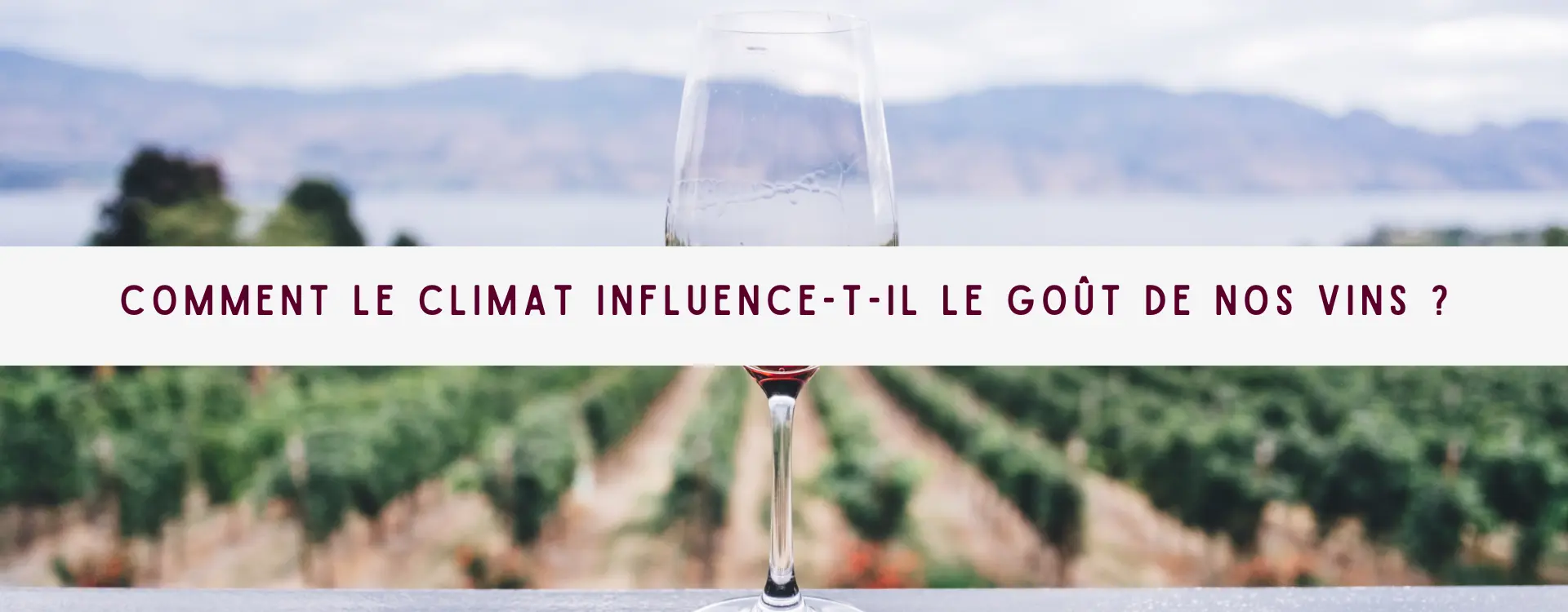 You are currently viewing Comment Le Climat Influence-t-il le Goût de Nos Vins ?