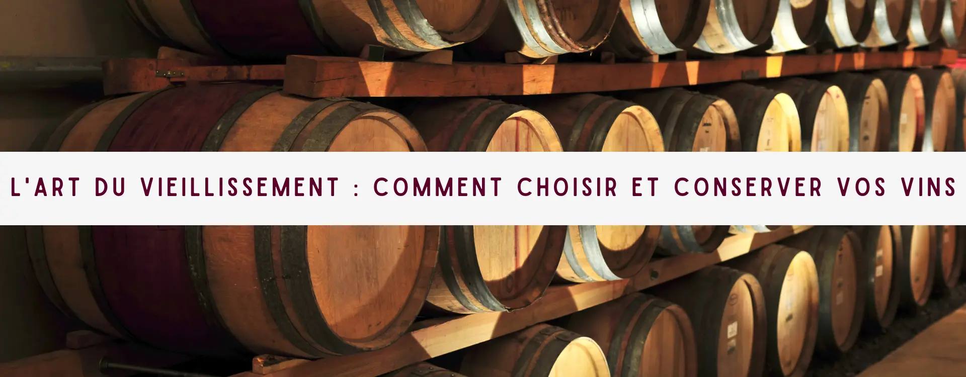 Lire la suite à propos de l’article L’Art du Vieillissement : Comment Choisir et Conserver Vos Vins